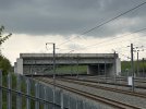 IMG_3404.jpeg