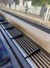 IMG_0816.jpeg