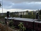 IMG_8991.jpeg