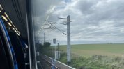IMG_2593.jpeg