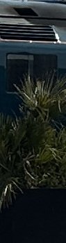 IMG_0895.jpeg