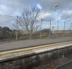 IMG_5636.jpeg