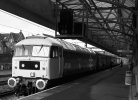 c1163 update2.jpg