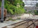 DSC02694.JPG