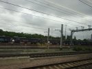 DSC02646.JPG