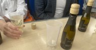 IMG_0181.jpeg