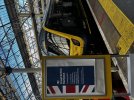 IMG_9151.jpeg