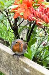 IMG_0199.jpeg