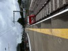 IMG_2411.jpeg