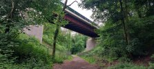 Hospital Access Bridge.jpg