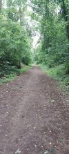 Coryton trackbed.jpg