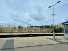 IMG_9541.jpeg