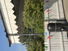 IMG_4004.jpeg