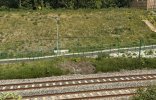 IMG_1943.jpeg