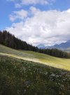 IMG_20250526_170015.jpg