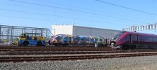 IMG_1068.jpg