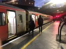 IMG_7766.jpeg