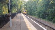 20240619_201323.jpg