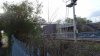 DSC00930.jpg