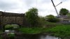 DSC00981.jpg