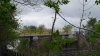 DSC00984.jpg