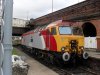 SDC10694.jpg