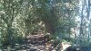 IMG_20160829_154239.jpg