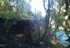 IMG_20160829_155029.jpg