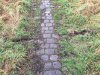 2016-12-30 10.04.17.jpg