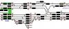 WCML 23 February 2017 3 at 1125.jpg