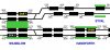 WCML 23 February 2017 4 at 1302.jpg