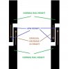 breather joint fixed (heights shown).jpg