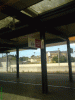 clue1.gif