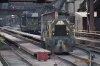 Corous Shunter 5.jpg