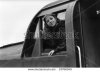 stock-photo-edinburgh-october-rachel-sweet-u-s-pop-singer-in-the-cab-of-a-diesel-locomotive-on-o.jpg