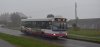 DSC_1727.jpg