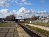 DSC00500.JPG
