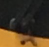 guess the train 25.JPG