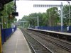 DSC01020.JPG