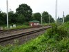 DSC01036.JPG