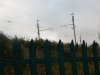 Anchor wires, Yarrow.JPG