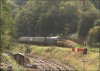 Dean Forest Railway British Rail Class 42 Warship D832 Onslaught 16.09.18.jpg