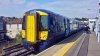 class375.jpg