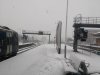 Snow at Basingstoke (1).jpg