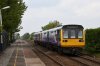 142043 - 55584 leading - Hoscar.jpg