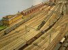 3109.JPG 3109.JPG