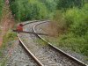 Zoom of sleeper across Okehampton line seen from Penstone Crossing looking towards Yeoford.JPG
