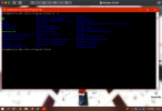 Screenshot 2021-01-19 at 13.19.38.png
