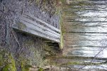 DSC01544.JPG