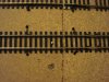 DSC03043.jpg